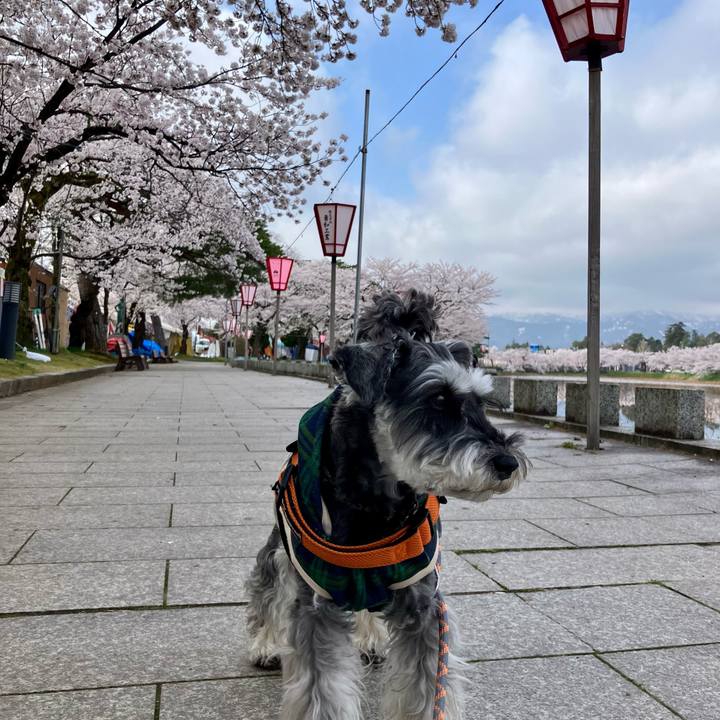 9e917099 c235 4afb 97db 2a6de91ec7ce 1745130401210