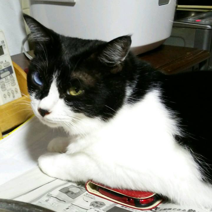 9e917ab9 e3a5 4efe b192 8a741765239a 1535190784324