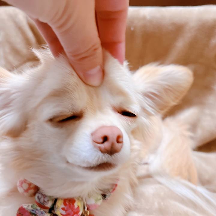 9e9200cb 0eed 4244 b361 55ae15663198 1673661832917