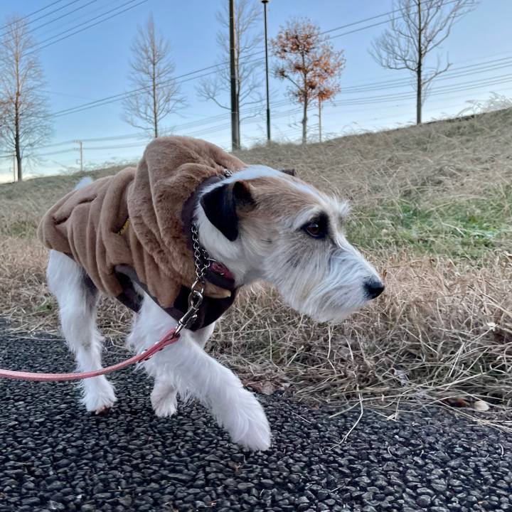 9e92148d 26c9 4680 899b 9d3bf7d3f8cc 1672050421701