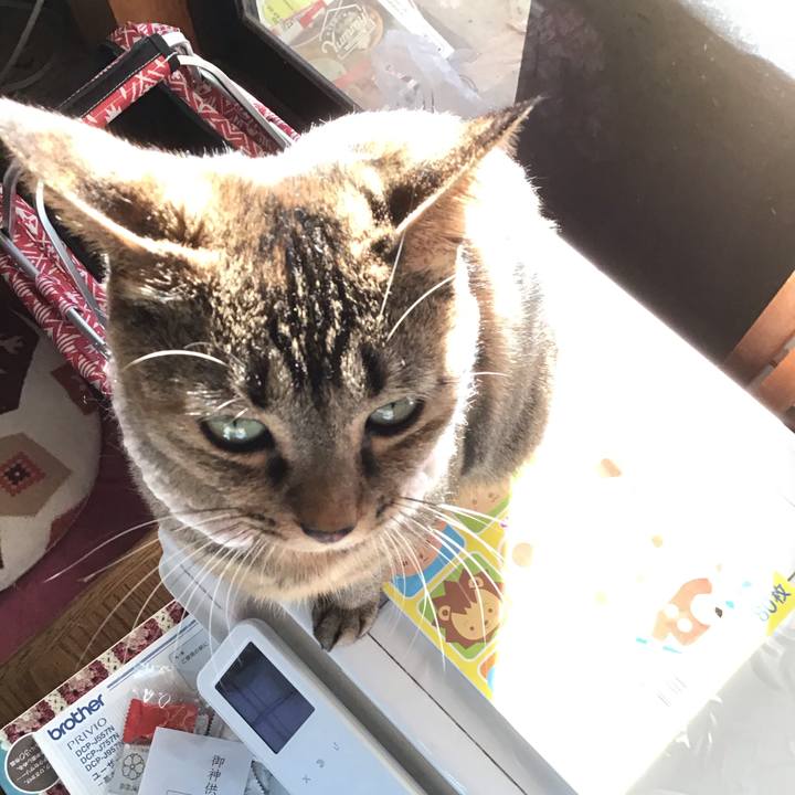 9e921530 6e1e 4d6b b135 b01896186f93 1609397437497