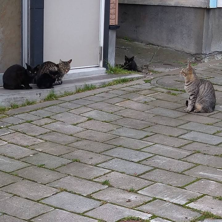 9e921900 20f5 42d7 9f2d 0244aa59e41a 1630812048373