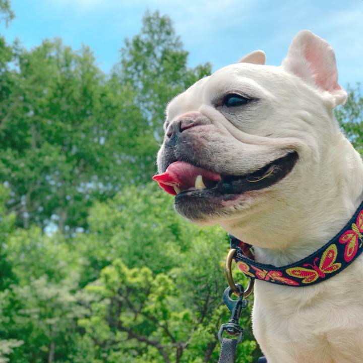 9e924579 ecb6 408a b3ff 42c68b50f74d 1532568268895