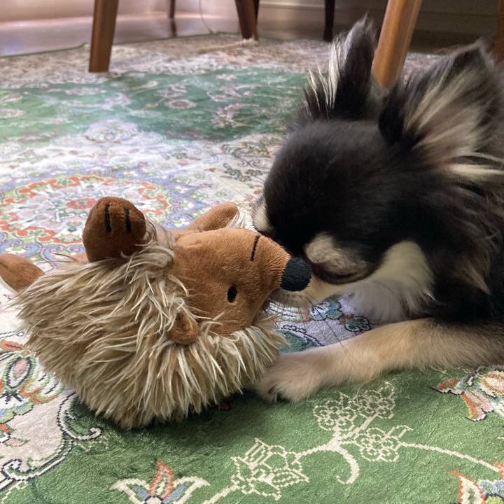 9e92475b e694 4e3d 892f 382e454962df 1660991754307