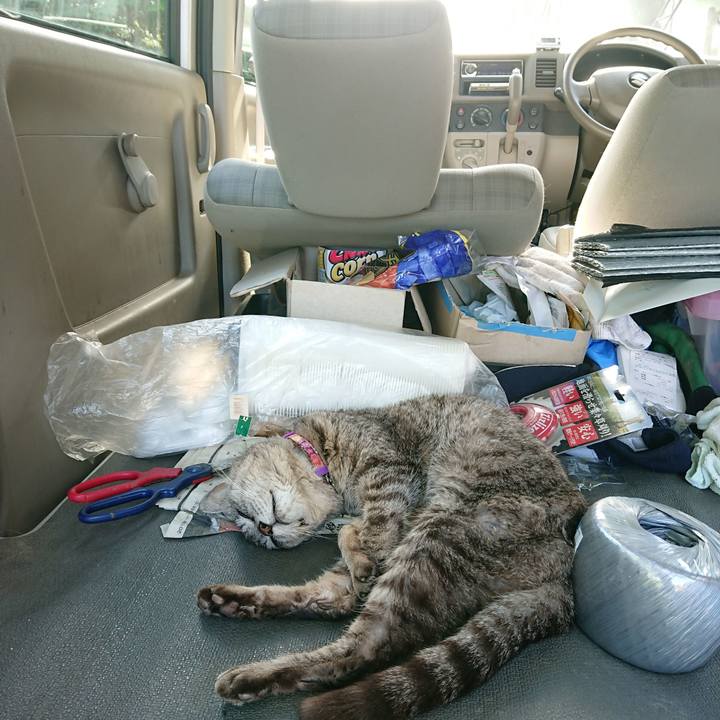 9e92b8f4 35b9 4ce9 8748 933e351a0bfd 1594539079462