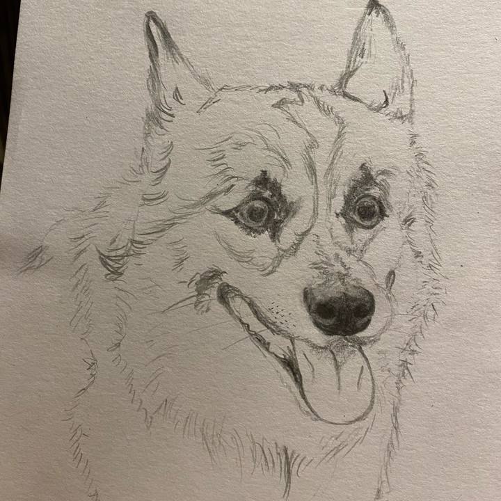 9e92ba43 391a 483c af25 8ab1f1cb4ac3 1628769666954