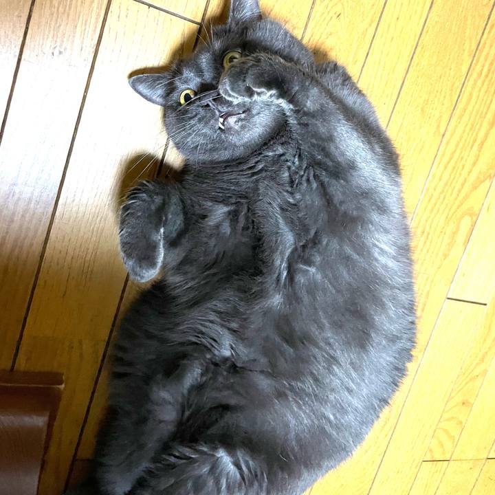 9e92cc84 912e 48ea 8d13 4f2743c62b9f 1758080926957