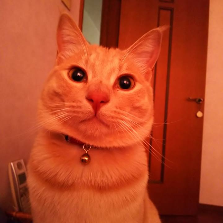 9e93033f 3240 4fe5 bad6 47c509f7fc4b 1558124228597