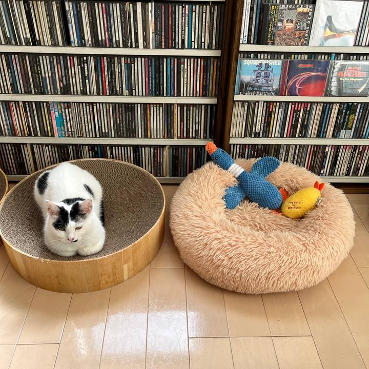 9e93c6fa c433 43db b3f8 28862cc6e827 1773538146650