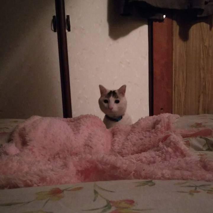 9e93d7da c550 4a09 9d5c 395cfba8cc1c 1517411931163