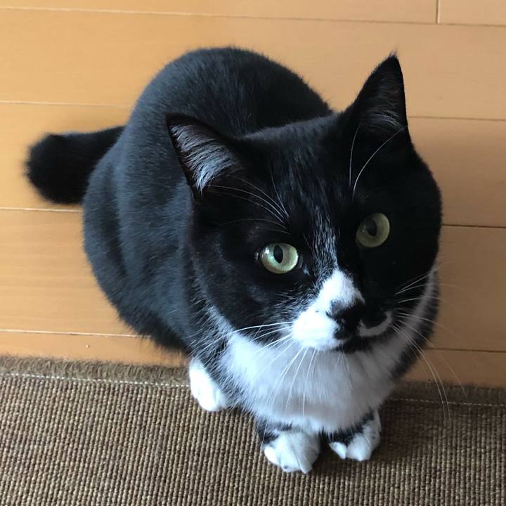 9e93dcbb f077 41ff 9500 394c28044cfa 1620139877622