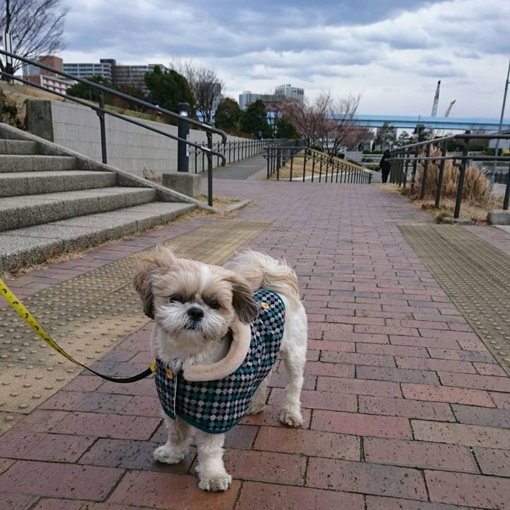 9e93e6b9 6ed8 4946 9e98 2ea0ac8857e2 1548498642246