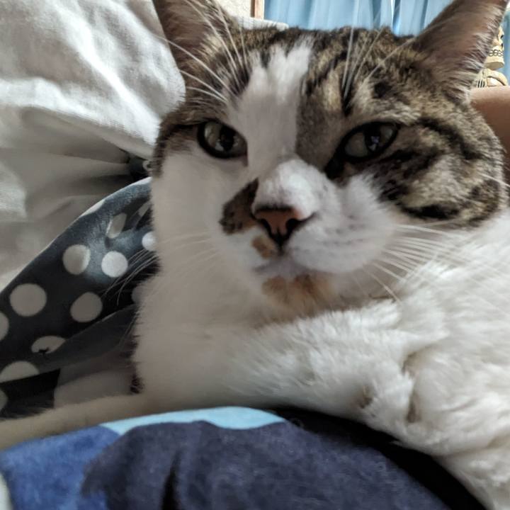 9e93ea0e 6cce 48af 9462 7151599a649b 1689988328316