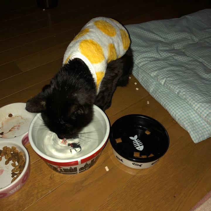 9e940d75 b463 4787 b460 e5ca8a7d7585 1589486524283