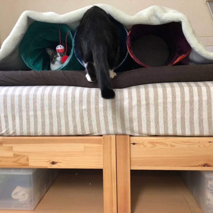 9e94118b 5edf 4c54 bcb5 5d94716f7120 1558528850679