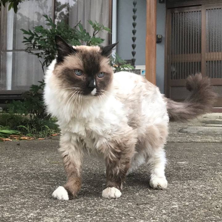 9e941e67 83b4 4bca b4ba 3d6d3f1f0a21 1623754811278