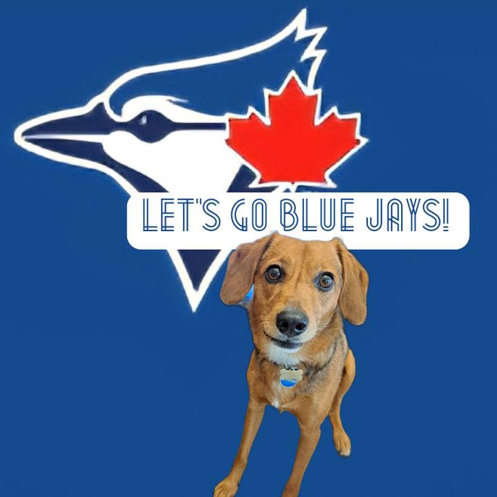 9e94319d 82b1 46a6 a87b f83d19c370a9 1759628772267