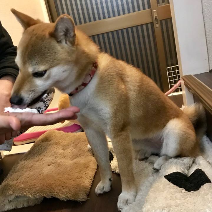 9e9432ef 3400 47a0 875e 3684289b6da5 1522929821422