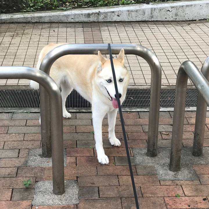 9e946388 99d2 4f6d 8525 9df6a00f0966 1567819650704