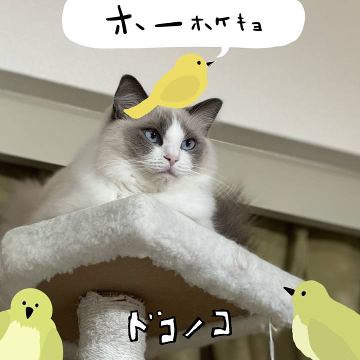 9e94809d 7b4d 422e b4ec c353735df53f 1711361682443