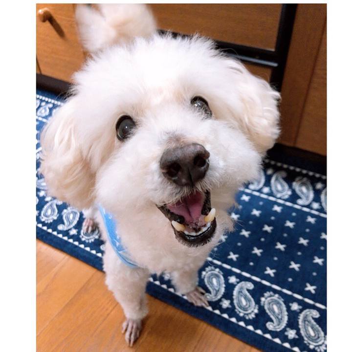 9e94daab d71c 4b95 8287 aa4fd13f454d 1557788173778