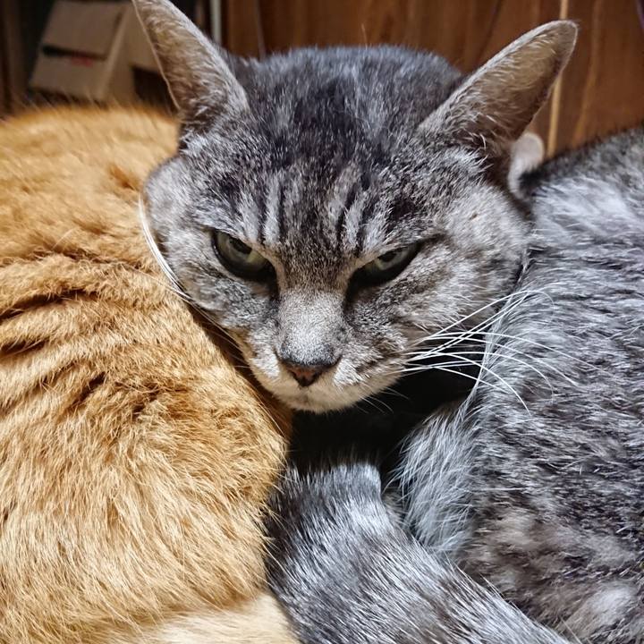 9e9514b6 47e7 4fad be42 fa5cc5cd6401 1578139995610