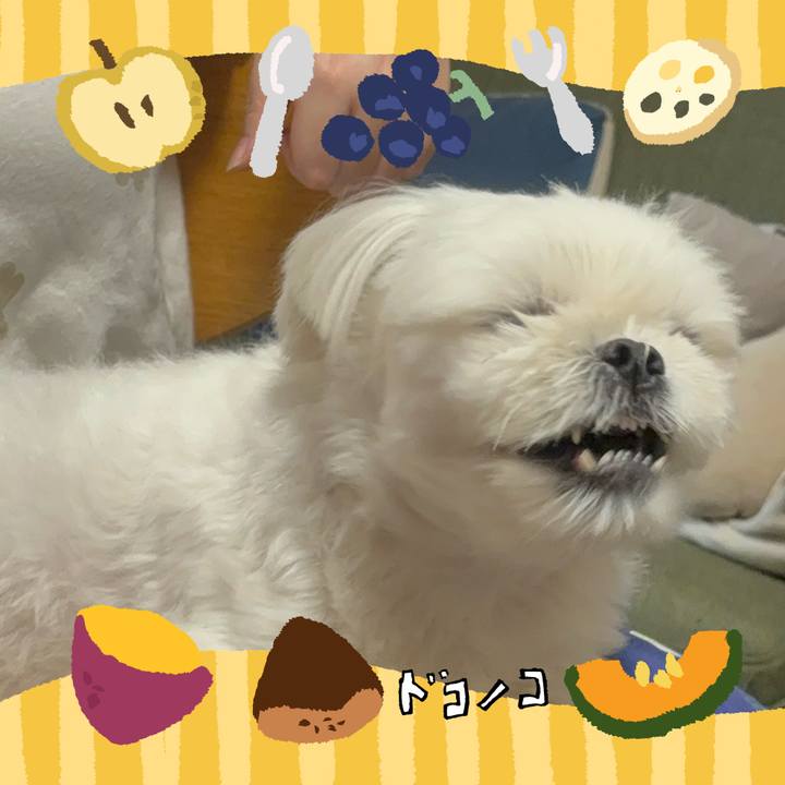 9e955132 de37 48c1 91e6 b617ab4b347a 1727002707015