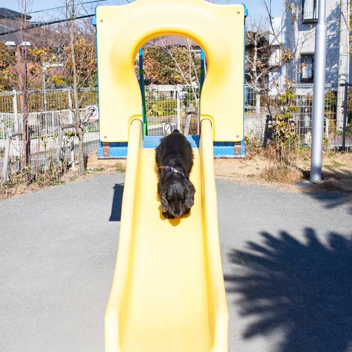 9e9560d9 988c 4c4b 9a6c 84a4c956cf7b 1547467763757