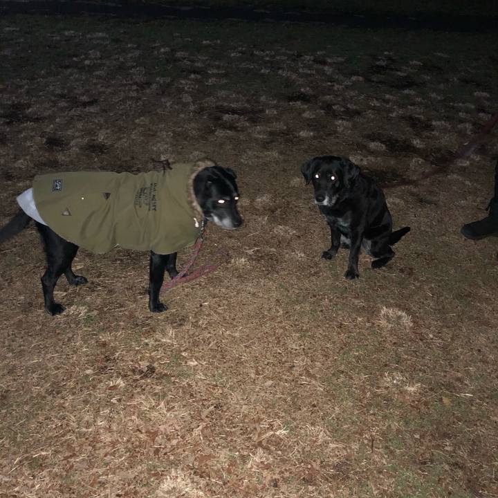 9e95717b 42e6 4533 a966 18300b11469f 1613478181399