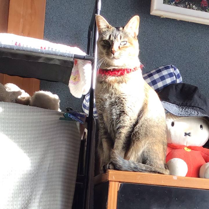 9e95aefa 5c05 495e 80bb d1eb597efea4 1613784193875