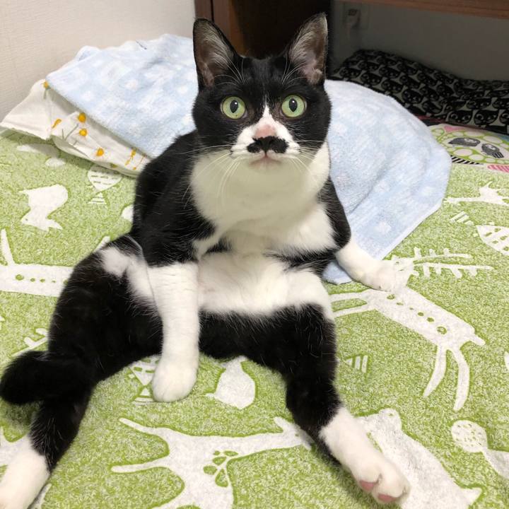 9e95d8a8 1e3e 4cf2 bcd6 2786d28b3cc1 1593532213718