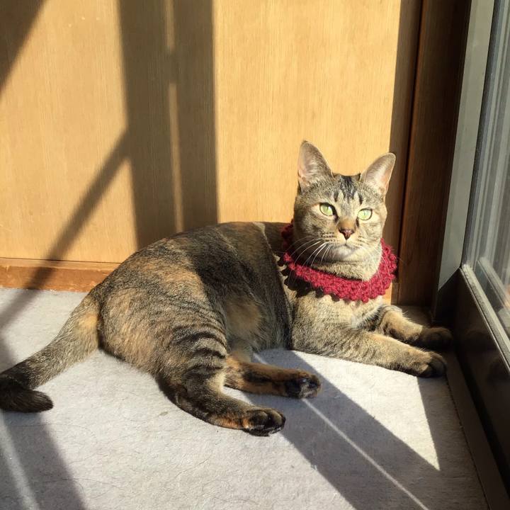 9e960e50 745c 4cd0 b7ea aa7e9632c861 1615701227433