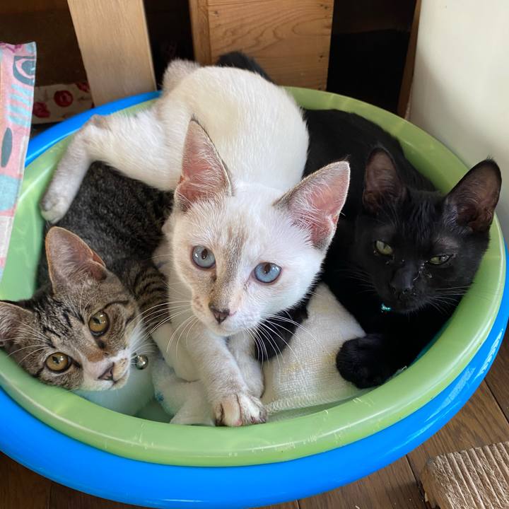 9e961ab6 d12c 4692 ba4c 35589a0dc282 1630289189709