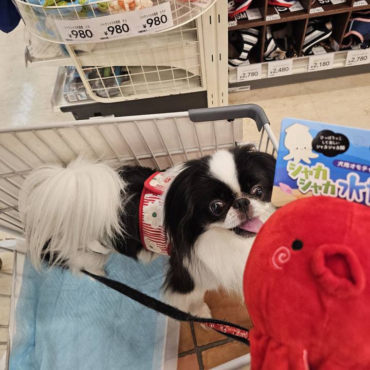 9e961ca2 f9be 418b 924e 7d5e9ccd996b 1719815607944