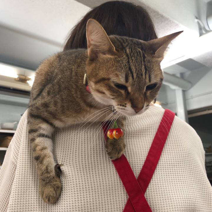 9e962477 b941 4718 89f3 e0d276a9d5a5 1636164923928