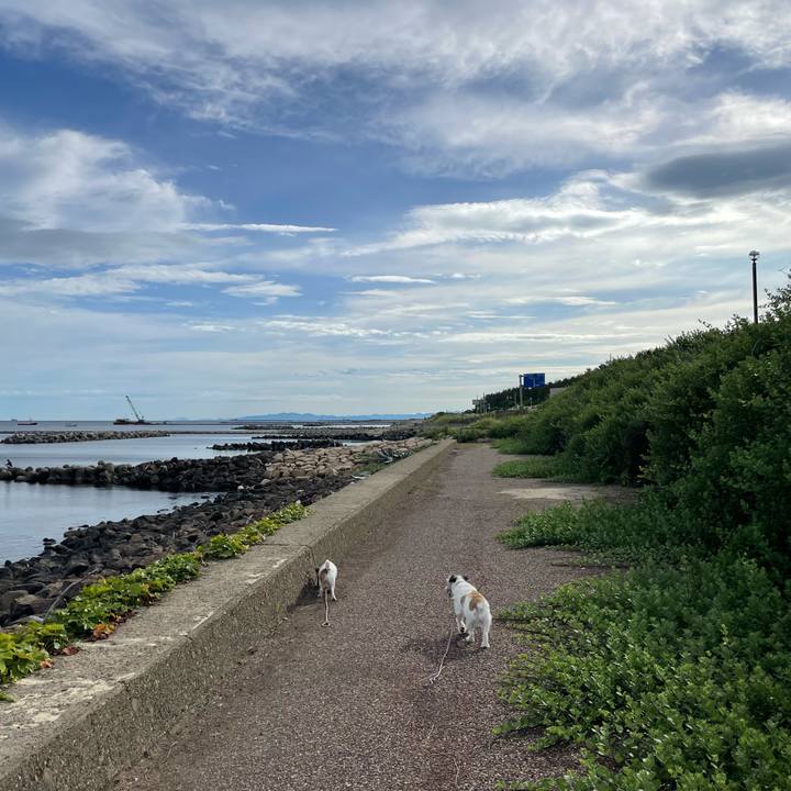 9e9658a6 d8ce 41f0 a58b 19cbddeda85f 1657753774966