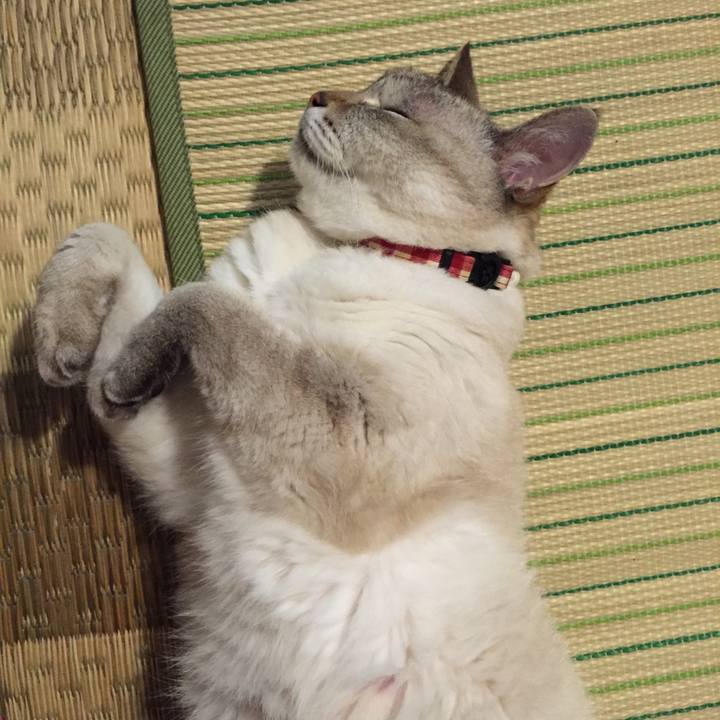 9e96b467 19d1 4751 815a b5f527f64c84 1531568538744