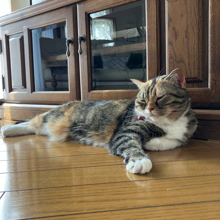 9e96bd46 7bda 4d1d bd35 8a74b7ef7f51 1763170149860