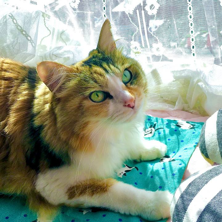 9e96de73 7002 472c a80f 50dd86b02b84 1605164979770