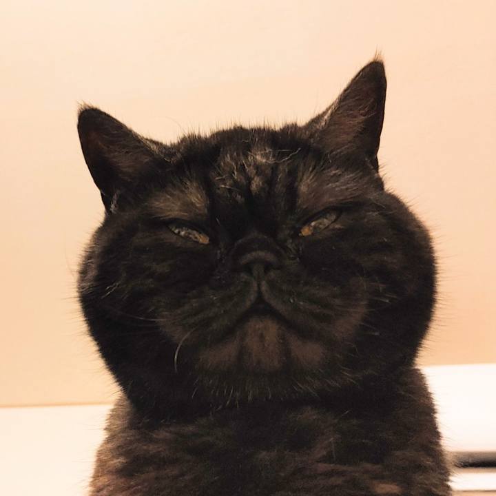 9e975c1f 613b 43d0 8ac6 6da9ce38ac31 1653306725662