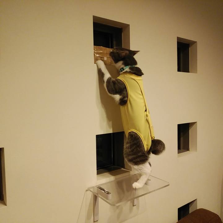 9e97899a cbff 4172 81ad 52f0bf0d8660 1584799623318