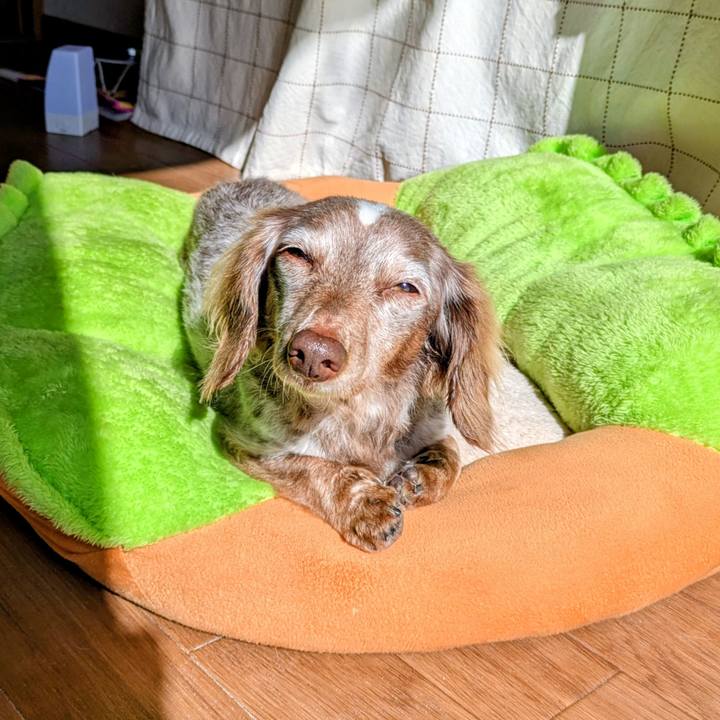 9e97911c 6c1a 4b6d 8dbd ce5ca3e92418 1770948223364