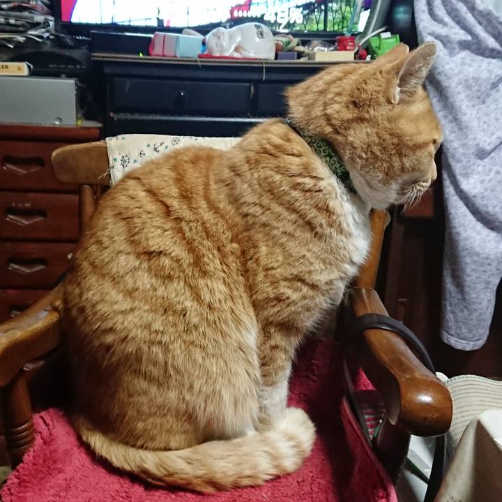 9e980bf8 d148 41c0 aa8e f6d486837f08 1581801225240