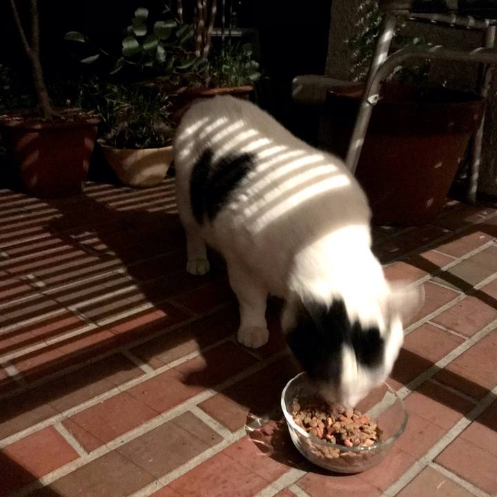 9e981749 197c 4396 a55b 7e7a6789502d 1620601631899