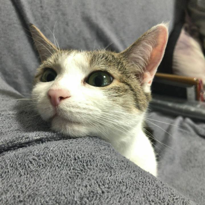 9e982ba1 1ace 4ba5 9e10 2156f7ff3b27 1647992291367