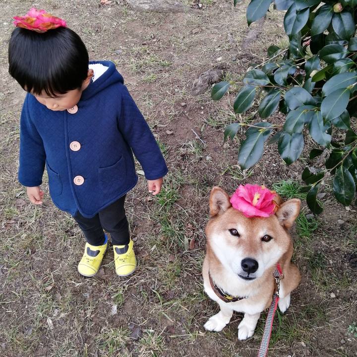 9e9860c4 b07f 4c44 ba0a 66d7456c72c0 1612945472641