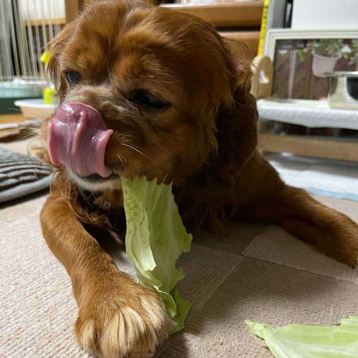 9e988bc9 87ef 483d 926f 44a0196b1339 1656593359421