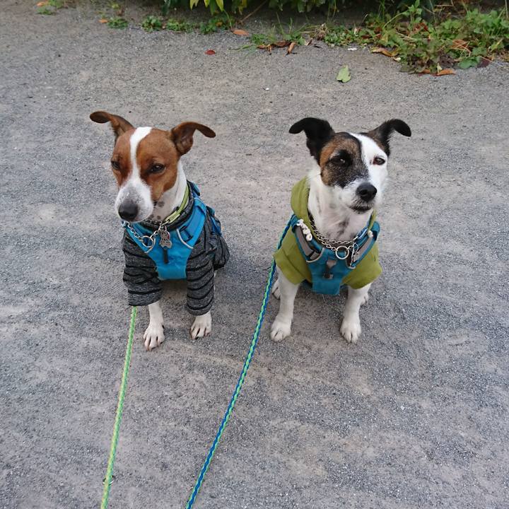 9e98aeb3 dadd 4f78 8119 778f714048f5 1604185033524