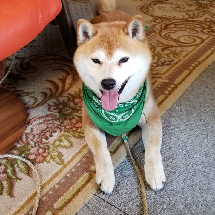 9e98b52e bb85 4893 ab1a 73460709e027 1558333697774