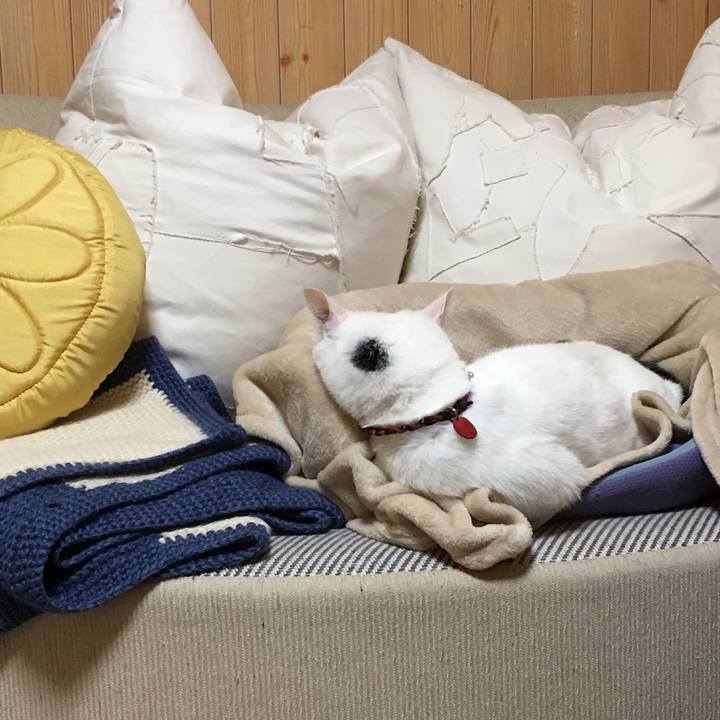 9e98be57 3ccc 4159 9ed2 bf4172cab34a 1511367804020